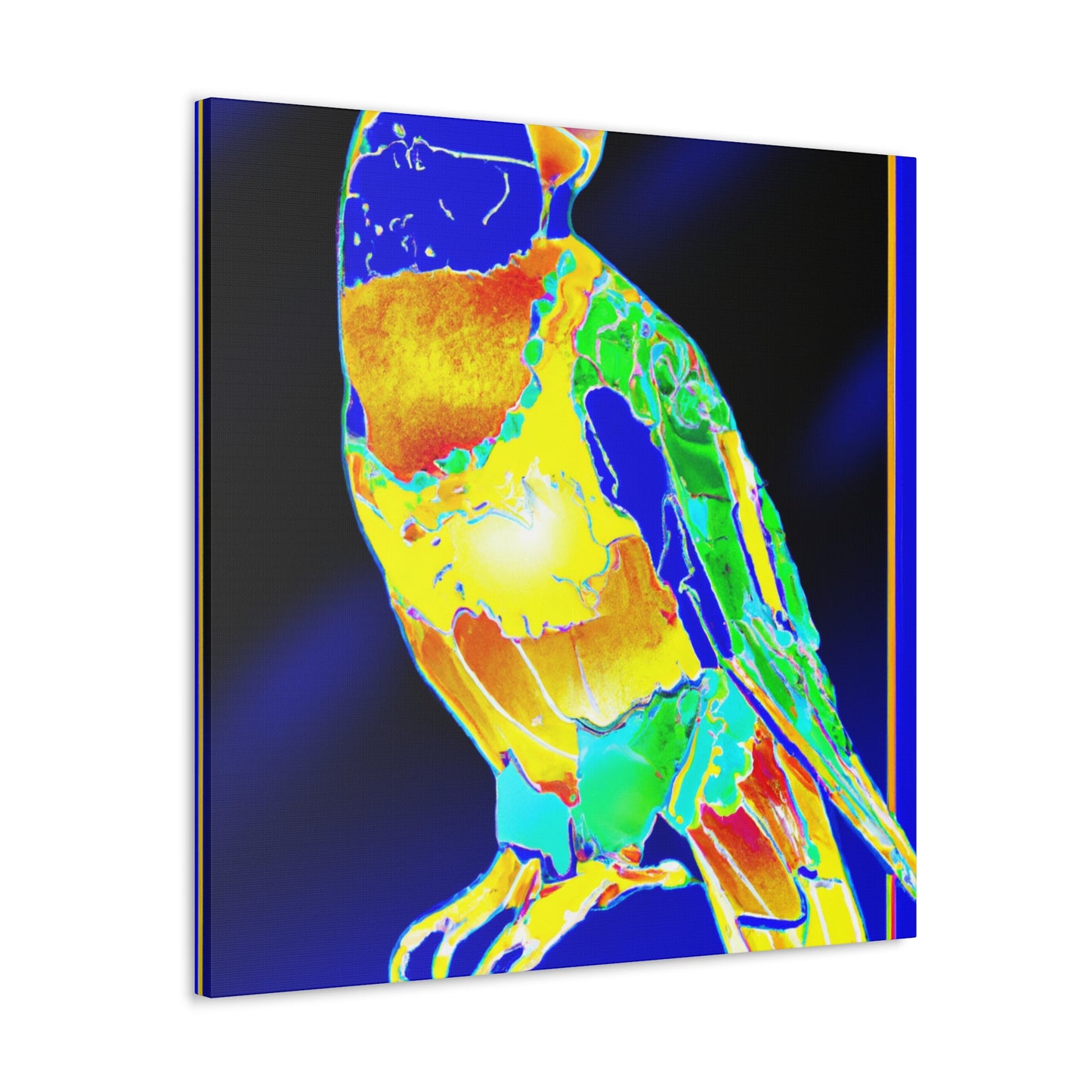 Rainbow Lorikeet Dreaming - Canvas