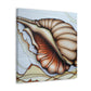 "Sea Shell Symphony" - Canvas