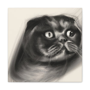 Scottish Fold Innocence - Canvas