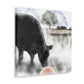 "Black Angus Truelife" - Canvas