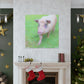 Pig With Pink Skin - Canvas