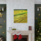 Sunlit Hay Field Dream - Canvas