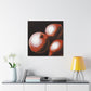 Onion Elegance Painting - Canvas