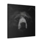 Asiatic Black Bear Gnos - Canvas