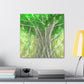 Banyan Tree Illusionist - Canvas