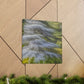 Cedar Tree Splendour - Canvas