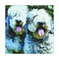 Old English Sheepdog Beauty - Canvas