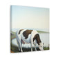 "Milky Dream of Cows" - Canvas