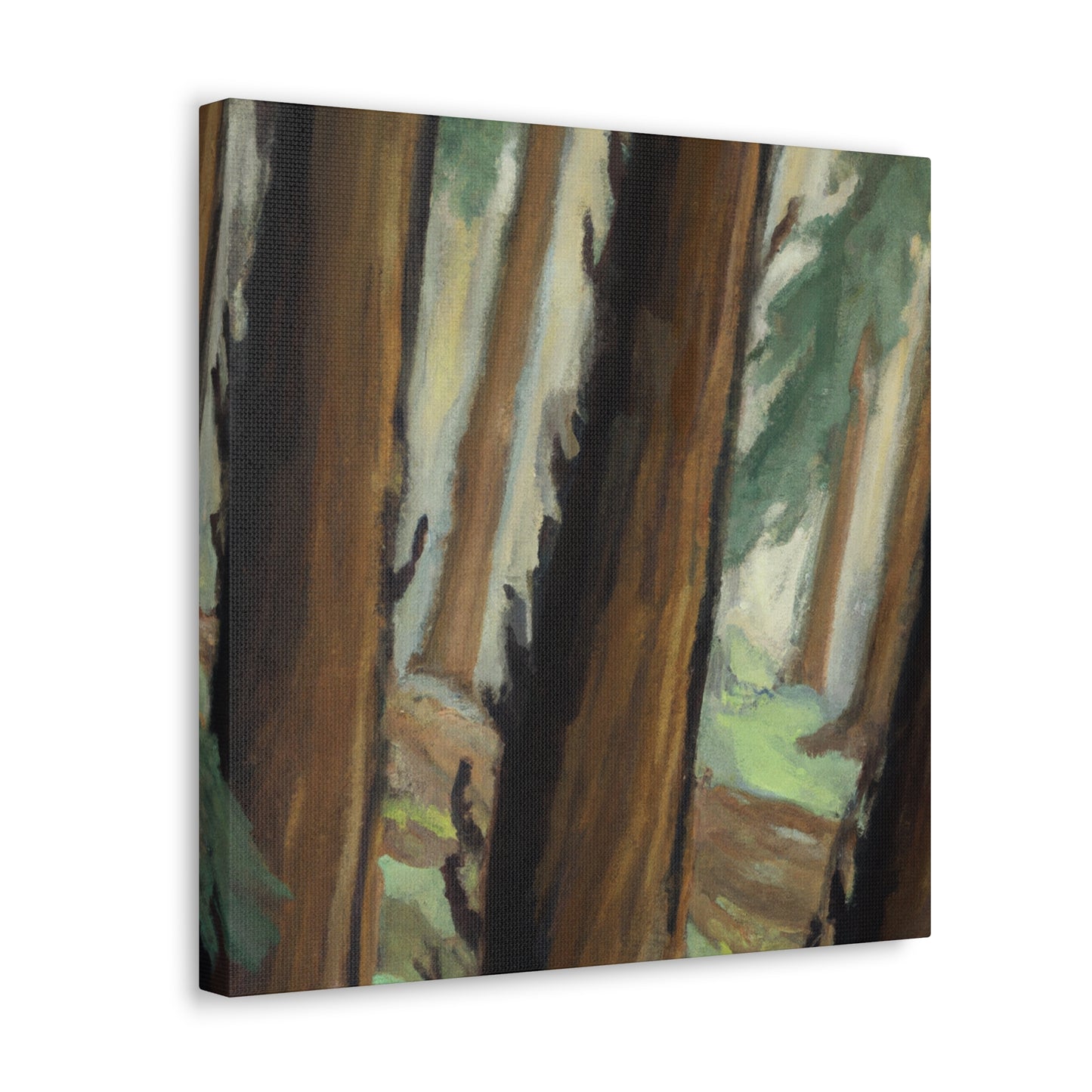 Redwood in Bloom. - Canvas