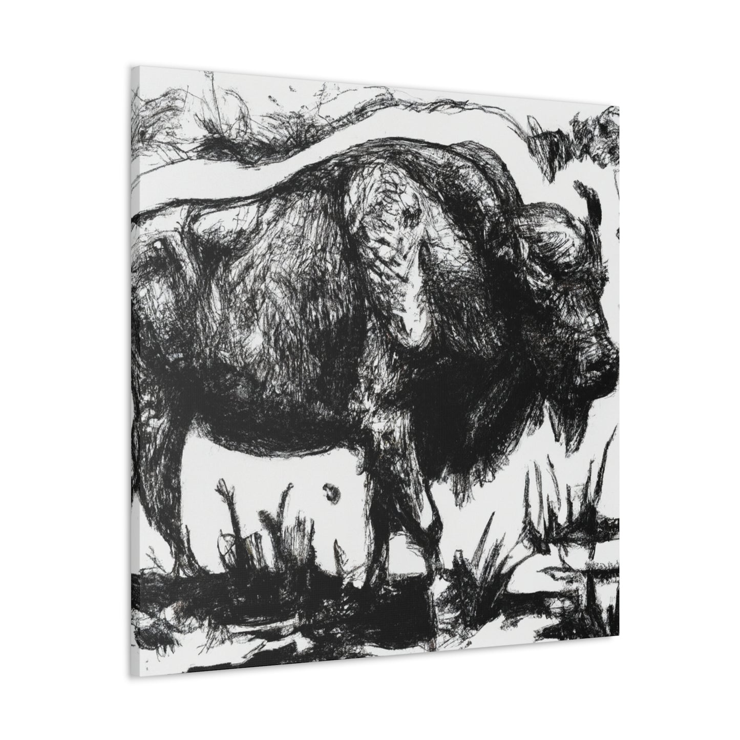 "Bison of the Prairie" - Canvas