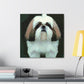 "Joyful Shih Tzu Play" - Canvas