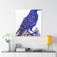 American Crow Portrait - Canvas