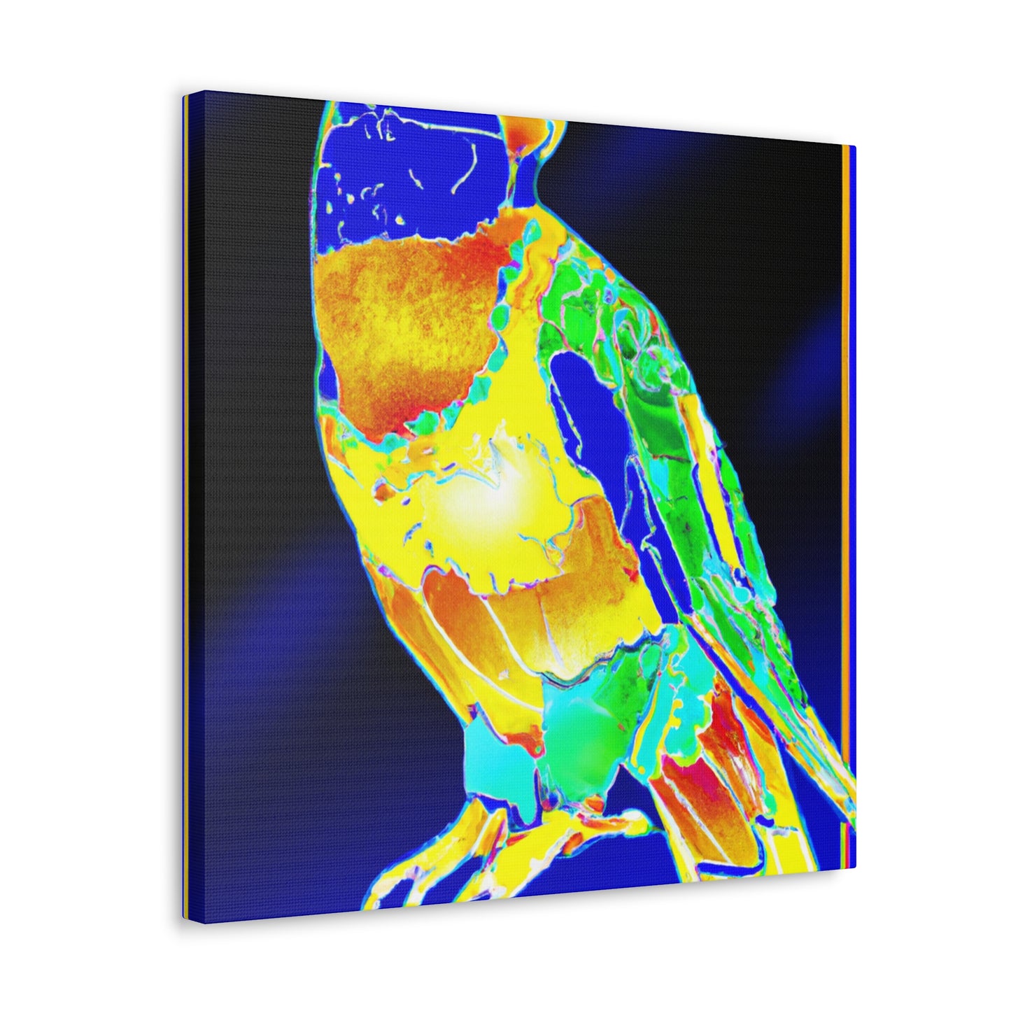 Rainbow Lorikeet Dreaming - Canvas