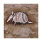 Armadillo Impressionism - Canvas