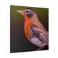 "American Robin in Oil" - Canvas