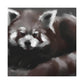 Red Panda Splendor - Canvas