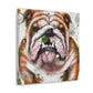 English Bulldog Bliss - Canvas