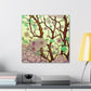 Cherry Blossoms Bloom - Canvas