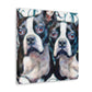 Boston Terrier Elegance - Canvas