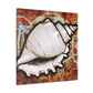 Sea Shell Splendor - Canvas