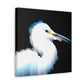 Snowy Egret Memory. - Canvas