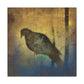 Mourning Dove Remorseful - Canvas