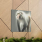 "Majestic Japanese Macaque" - Canvas