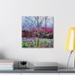 "Dogwood in Springtime" - Canvas