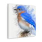 Divine Bluebird Beauty - Canvas