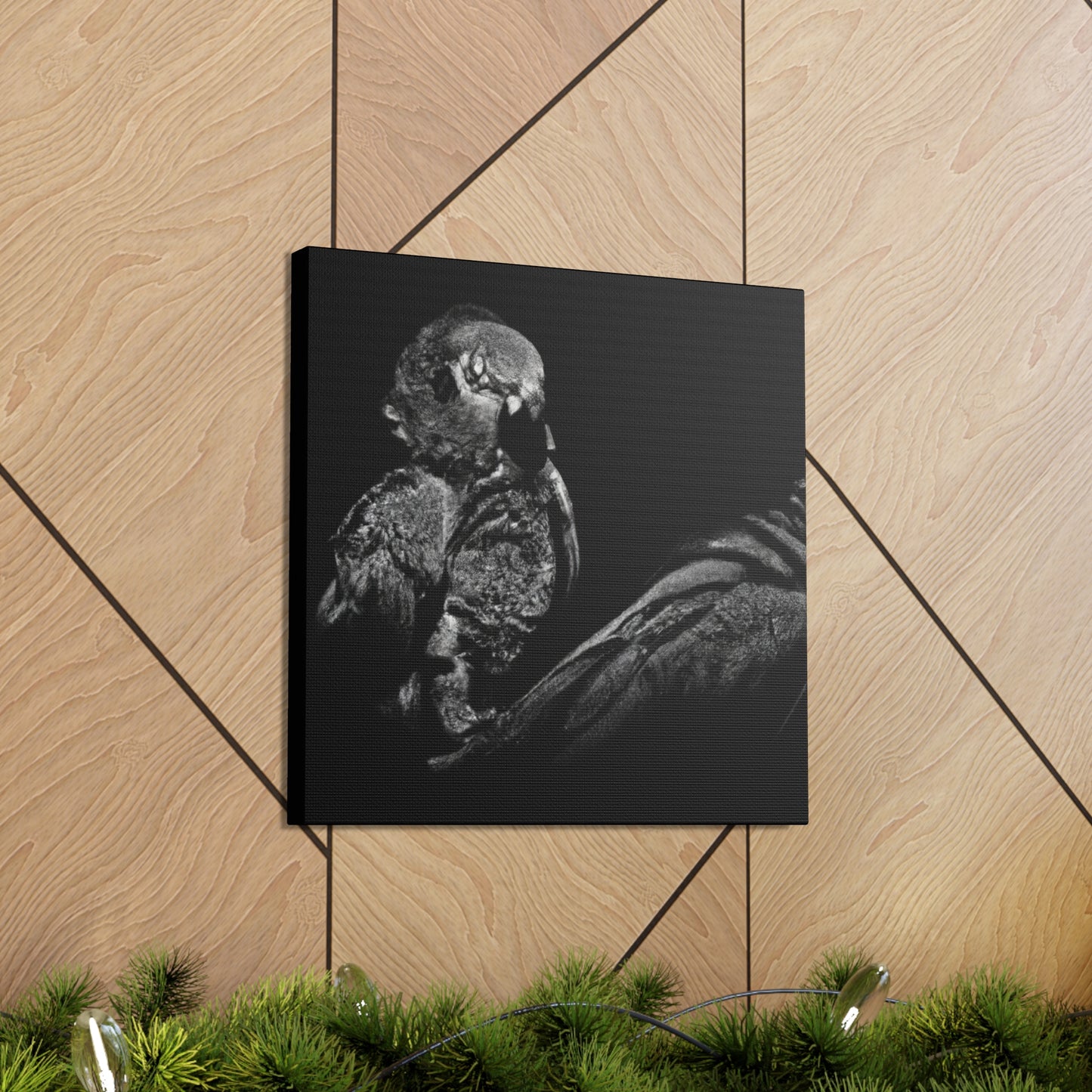 Pionus in Elegance. - Canvas