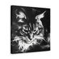 Maine Coon Expressionism - Canvas