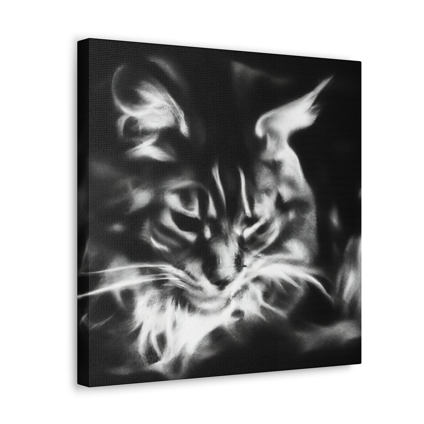 Maine Coon Expressionism - Canvas