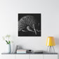 Echidna: Glorious Beauty - Canvas