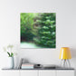 "Douglas Fir Majesty" - Canvas