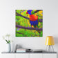 "Rainbow Lorikeets in Bloom" - Canvas