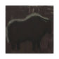 "Musk Ox in Impressionism" - Canvas