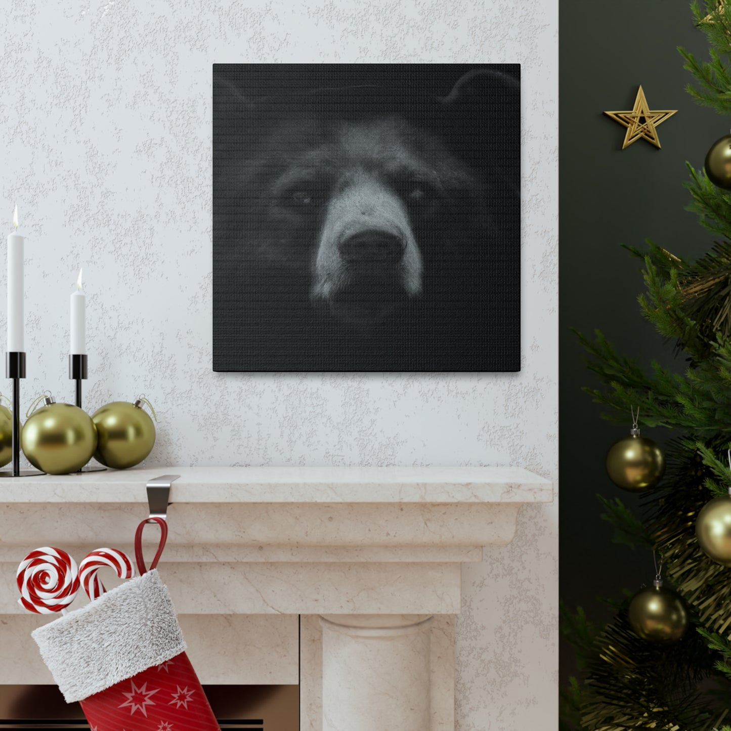 Asiatic Black Bear Gnos - Canvas