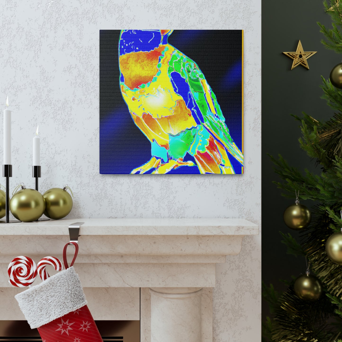 Rainbow Lorikeet Dreaming - Canvas