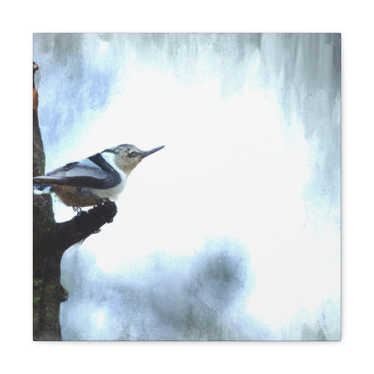 "White-Breasted Nuthatch Bliss" - Canvas