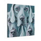 "Weimaraner Stare Majestic" - Canvas