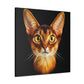 Abyssinian Reflection Realism - Canvas