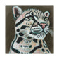 The Clouded Leopard - Canvas