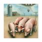 Pig in Levitation - Canvas