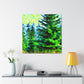 Spruce in Impressionism - Canvas