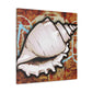 Sea Shell Splendor - Canvas