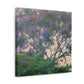 Jacaranda Dreamscape - Canvas