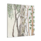 "Birch of the Forest" - Canvas