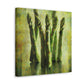 "Asparagus in Bloom" - Canvas