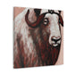 Musk Ox Splendor. - Canvas