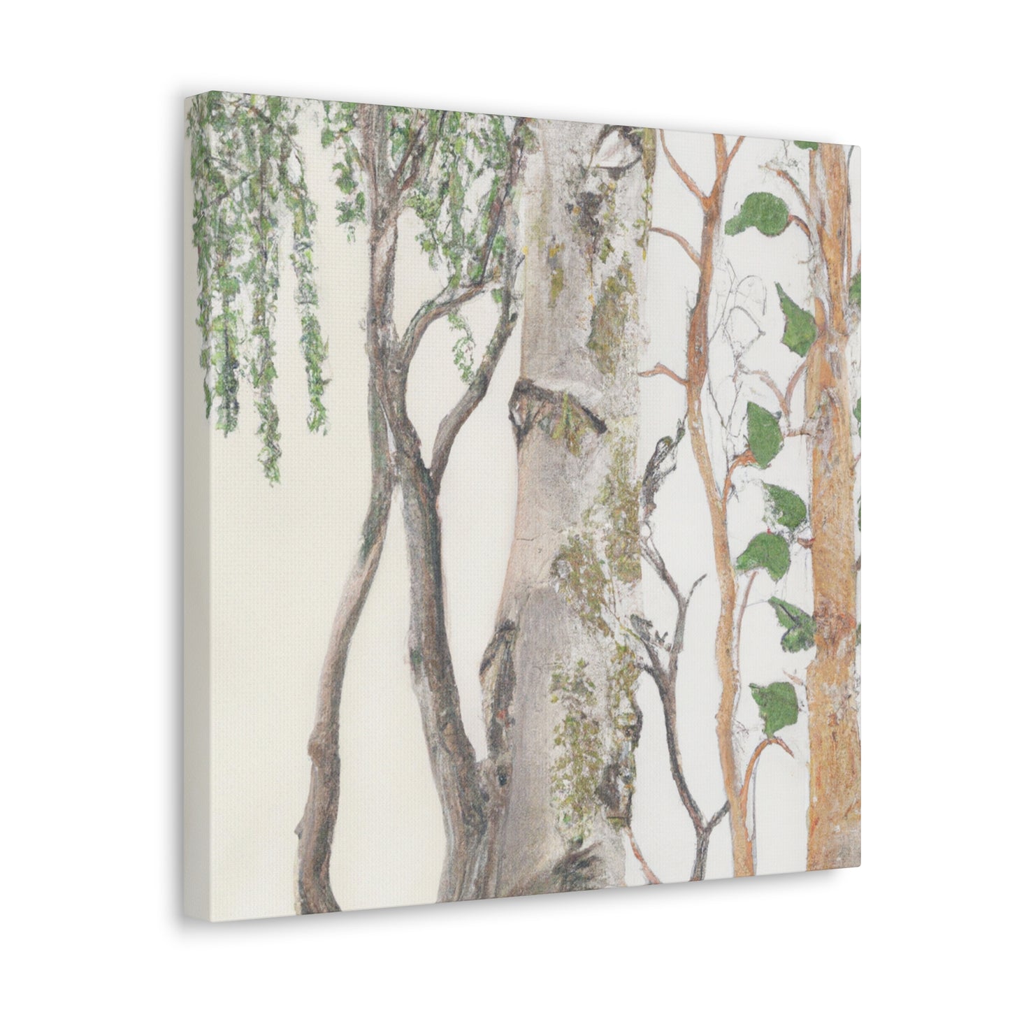 "Birch of the Forest" - Canvas